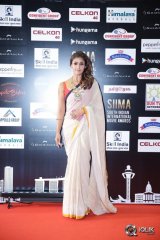 South Indian International Movie Awards 2016 Day 2